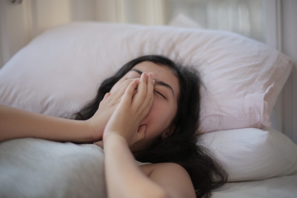 Shredded Memory Foam Pillow