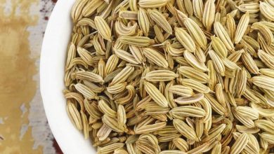 Photo of Healing And Seasonal Effects Of Fennel Seeds