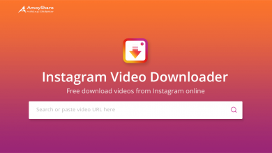 Photo of W3toys – Instagram Photos and Video Downloader Online