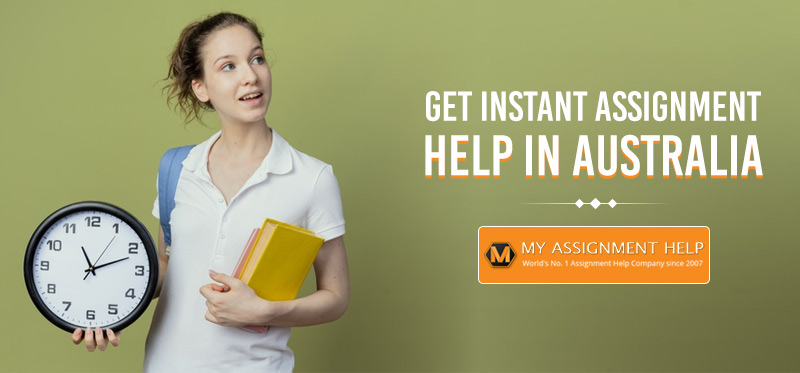 assignment help