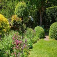 Photo of The Benefits of Hiring a Professional Landscaping Firm