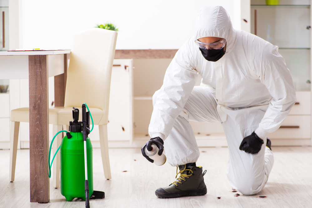 pest control surrey-bc