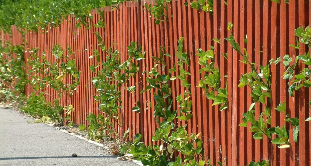 wood fence