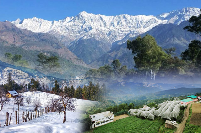 Unique Way Of Choosing The Best Tourist Spots Near Shimla