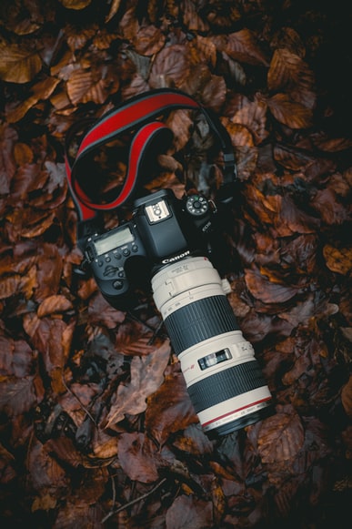 Pleasant DSLR digital cameras in 2021 for beginners & video streaming