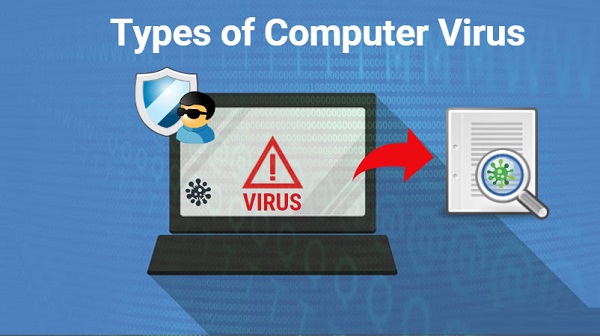 Methods of eliminating all types of computer viruses