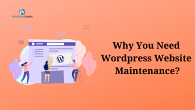 Photo of Why You Need WordPress Website Maintenance?