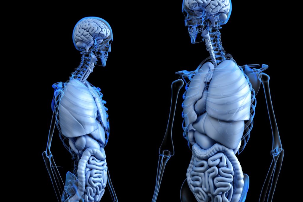 3D Medical Animation