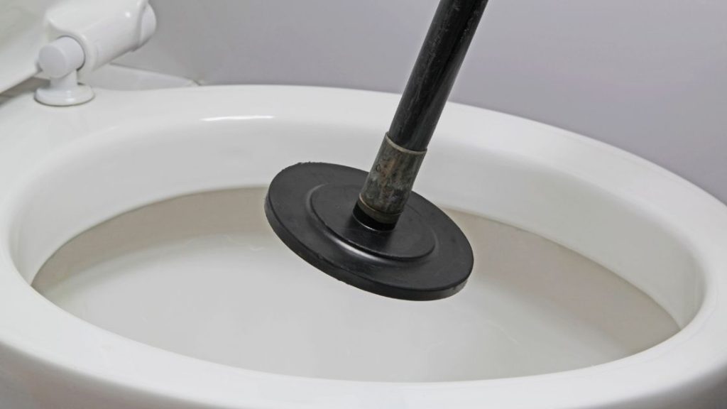 unclog a toilet