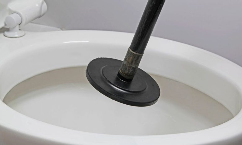 unclog a toilet