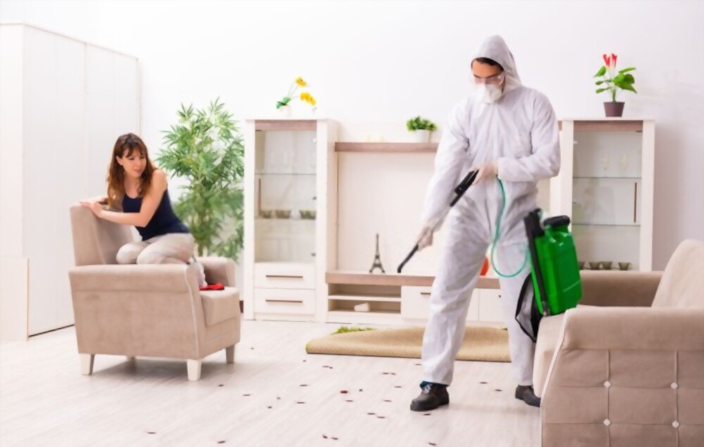 Pest control company in Dubai