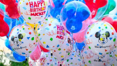 Photo of Disney Birthday Celebration at Magic Kingdom
