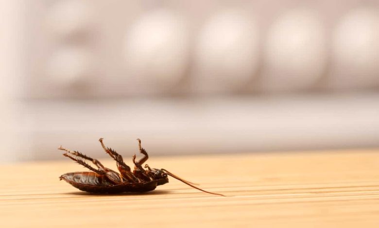 cockroaches pest control specialist near me