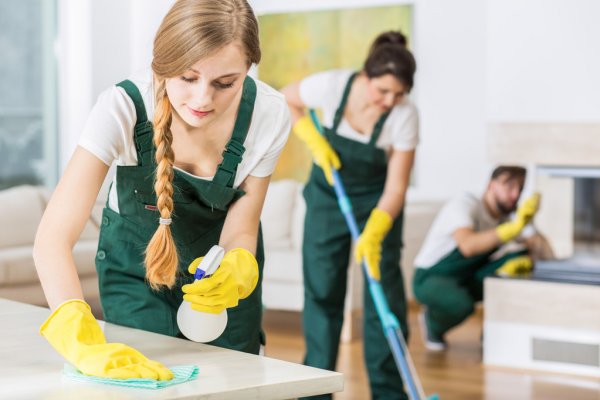 part time house cleaner