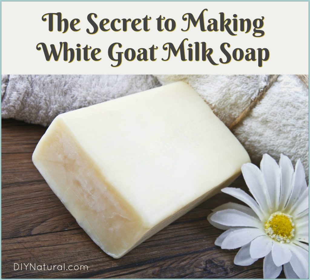 goat milk soap base