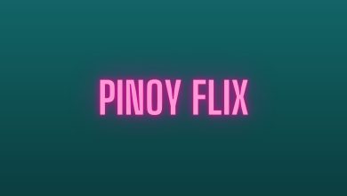 Photo of Review On The Services Of Pinoyflix Lambingan For Users
