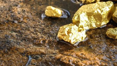 Photo of Safe Gold Mining: 7 Precautions Before Mining
