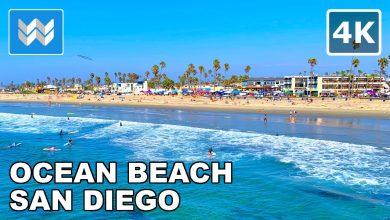 Photo of The Top 10 Things to Do in San Diego