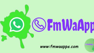 Photo of FM Whatsapp Pro the latest updates for android