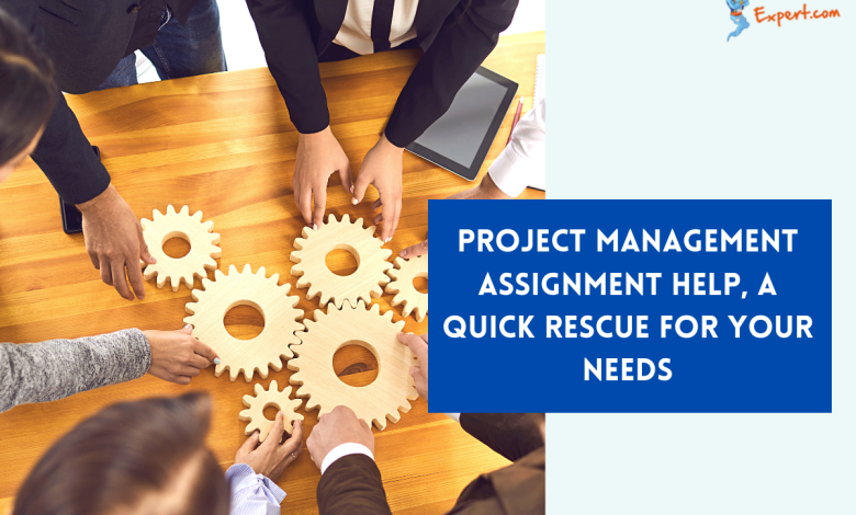 Project Management Assignment Help, A Quick Rescue For Your Needs