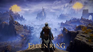 Photo of Overview of the Elden Ring Wiki
