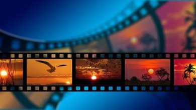 Photo of The 7 best sites you can use to observe free motion pictures on the web