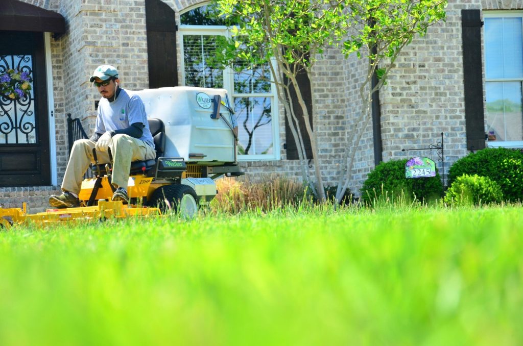 lawn care service