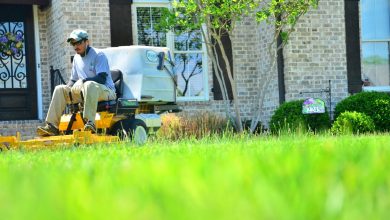 Photo of 4 Questions to Ask Before Hiring a Lawn Care Service