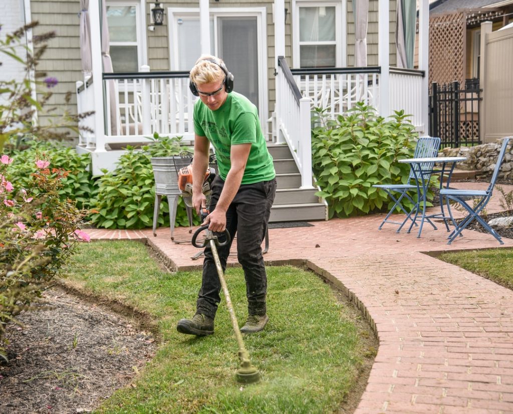 what do lawn care services do