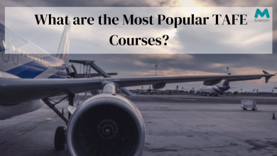 Photo of What are the Most Popular TAFE Courses?