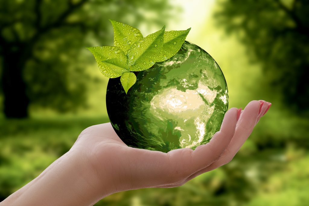 eco friendly tips