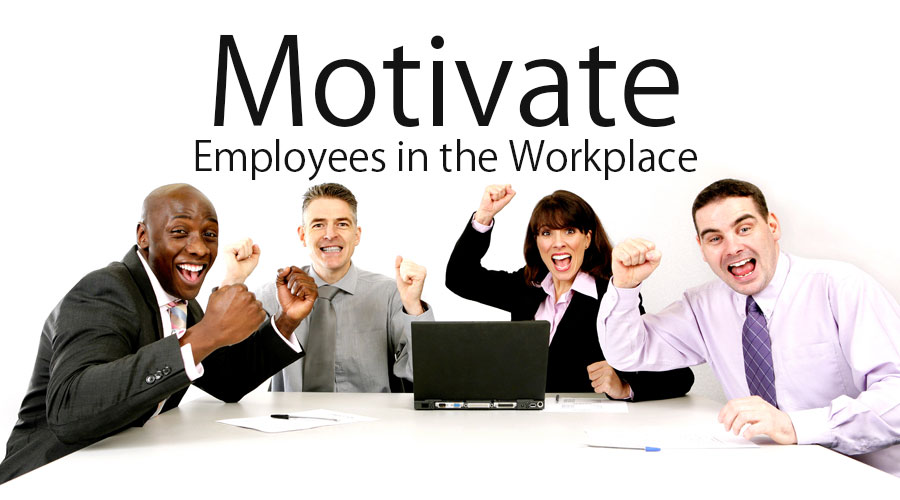 manage and motivate employees