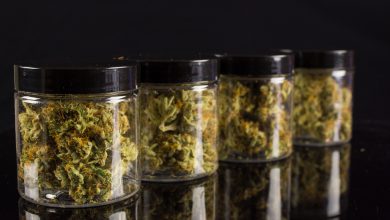 Photo of 4 Great Reasons for Starting a Cannabis Business