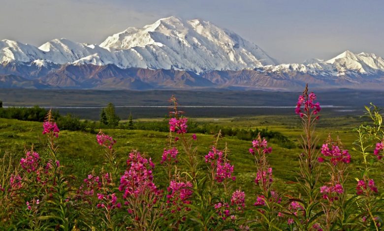 Denali