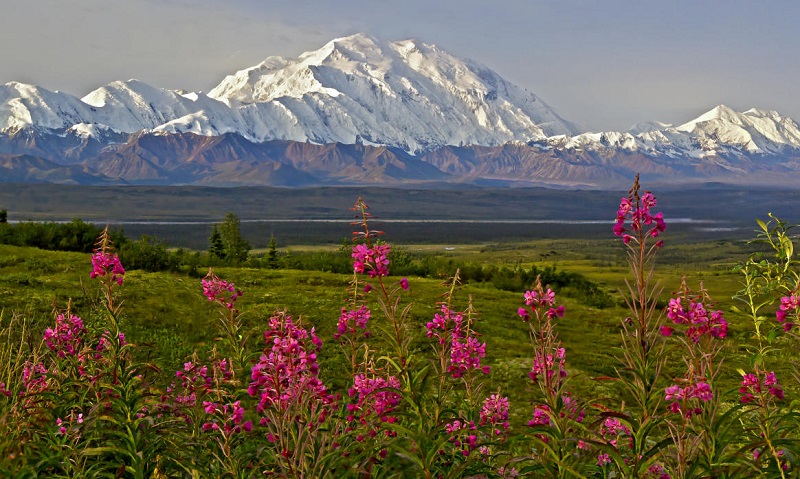 Denali