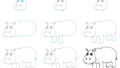 Photo of How to Draw a Cartoon Hippo A Step-by-Step Manual