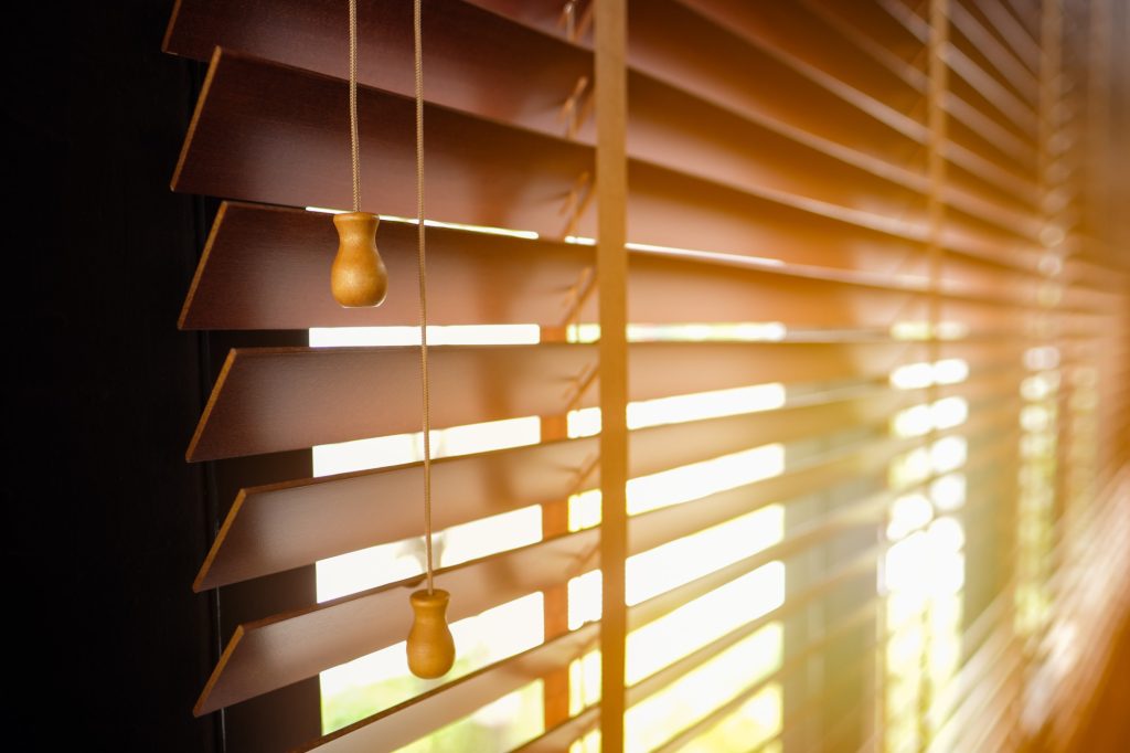 types of window shades