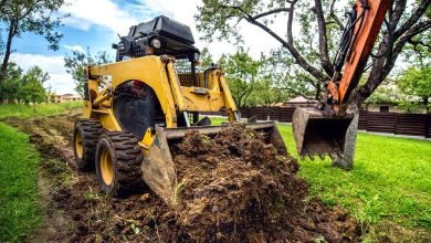 Photo of Reasons To Choose the Professional Land Clearing Services