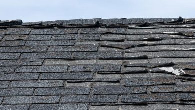 Photo of What Are the Common Roofing Problems?