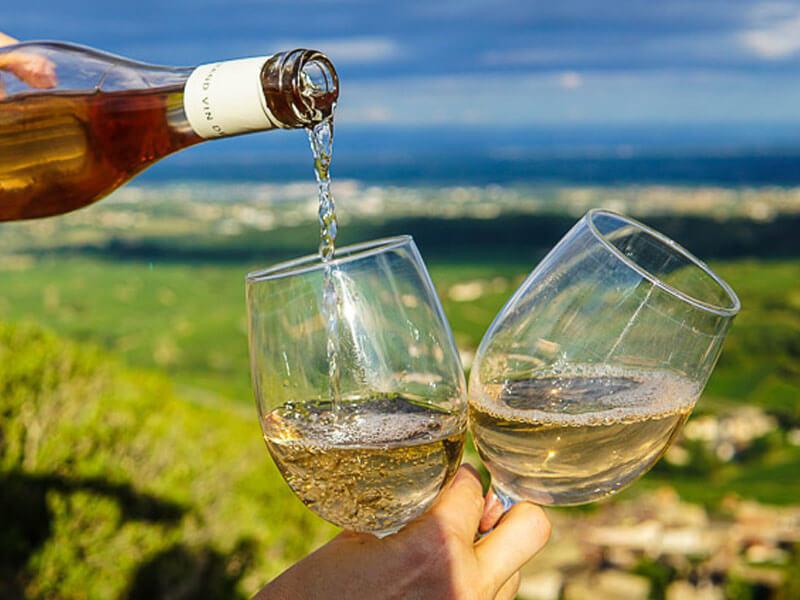 A visit to the Barossa Valley Wine Tours is a memorable experience.