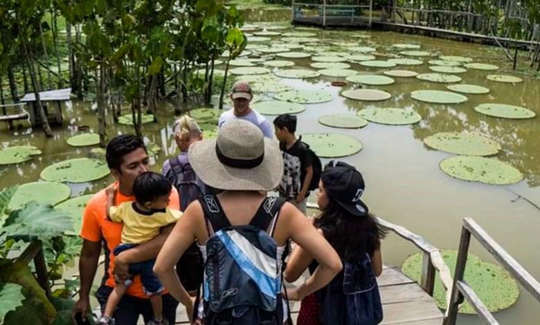 Iquitos Amazon tours