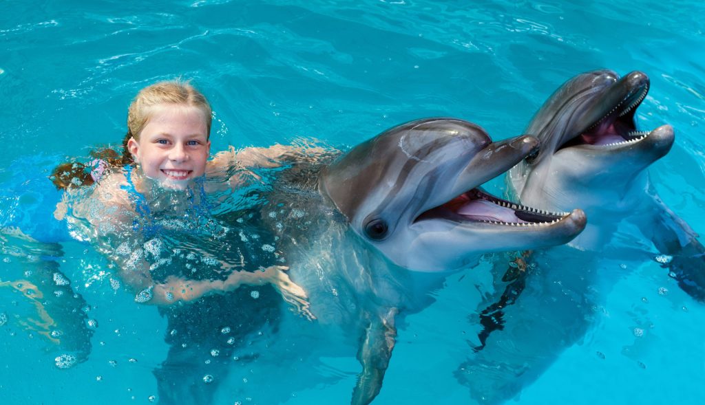 Swim with Dolphins in Cancun